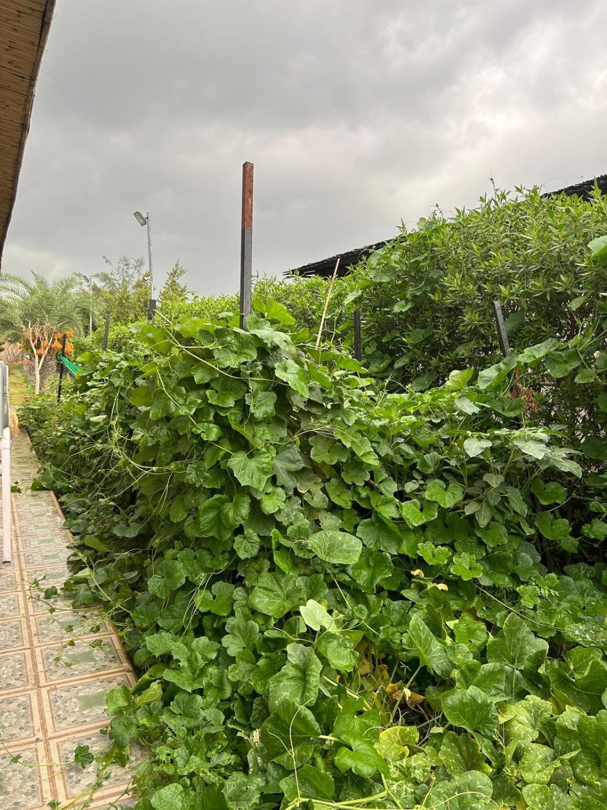 Vanraj Farm Greater Noida Exterior photo